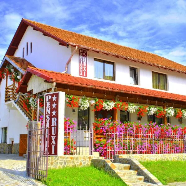 Pensiunea Ruxi, hotel v destinaci Curtea de Argeş