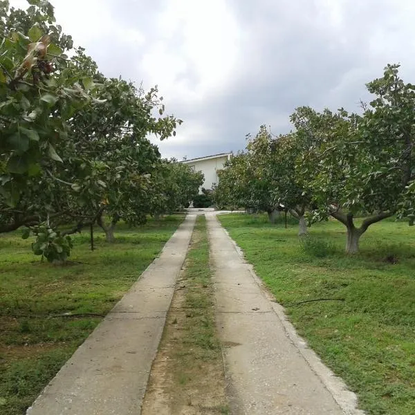 Ο κόκορας, hotel in Artemida