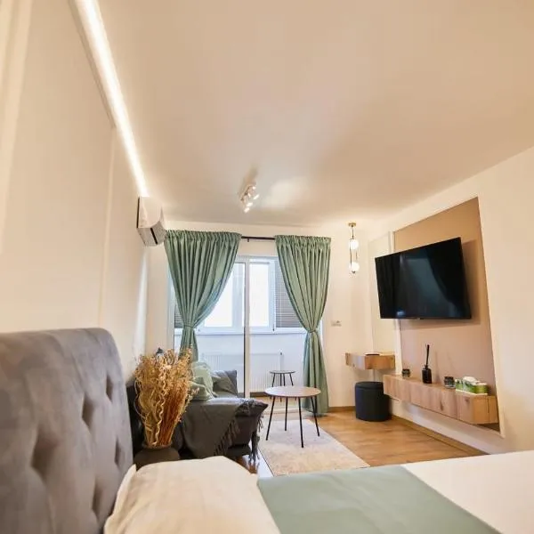 ChECk apartment, מלון בפוקשני