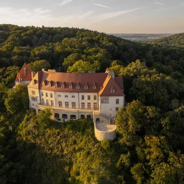 Zinar Castle, hotel v Krakově