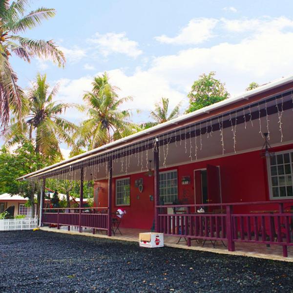 DreamHouse, Ngerbodel
