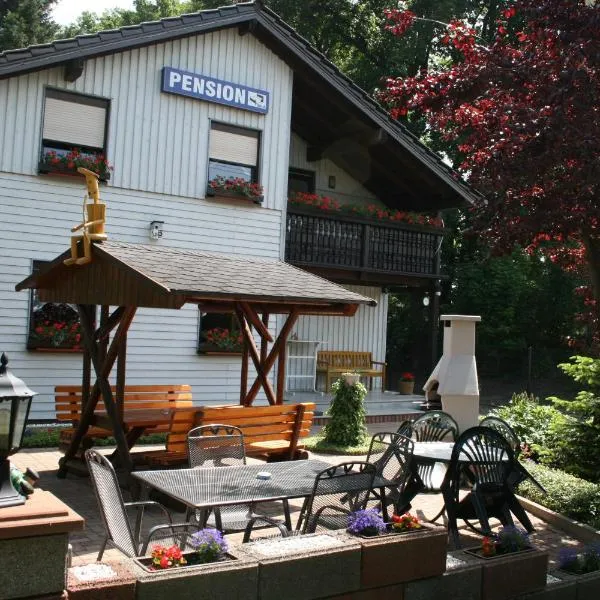 Pension-Eula, hotel en Borna