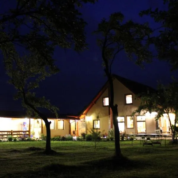 Pensiunea Casa Noastra, hotel en Baia de Fier