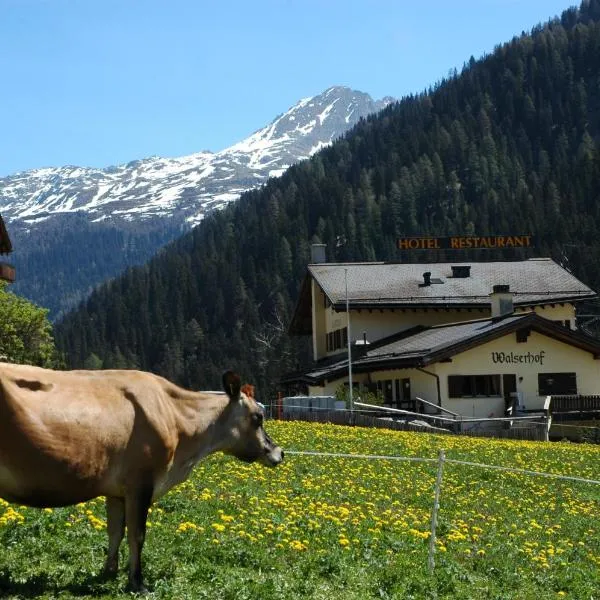 Hotel Restaurant Walserhof, готель у місті Medels im Rheinwald
