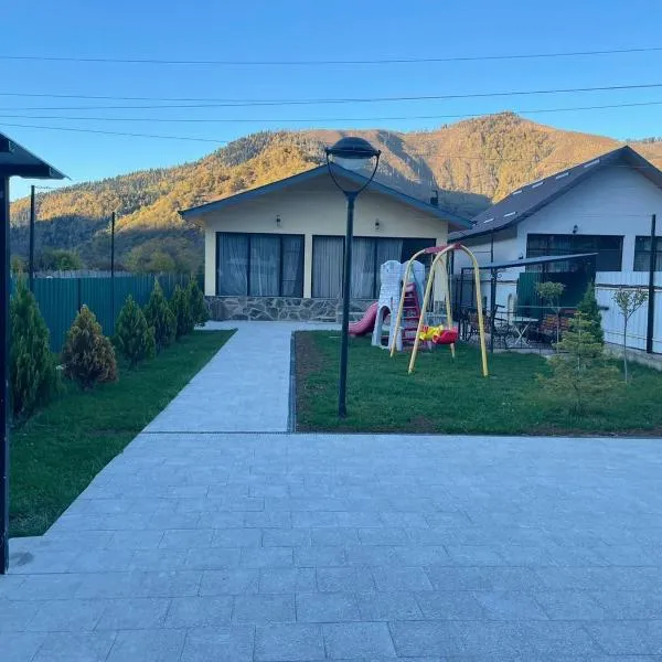 Villa Borjomi, hôtel à Bordjomi