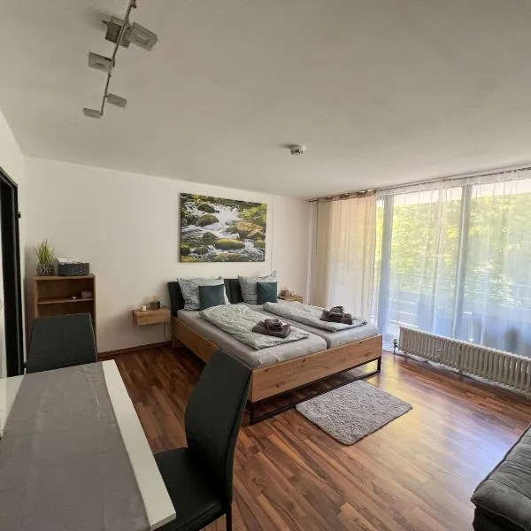 Helle FeWo am Waldrand - mit Balkon, Pool & Sauna, hotel in Freyung