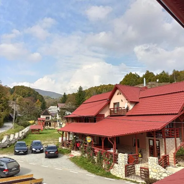Cabana Daianna si Jessica, Hotel in Poiana Vadului
