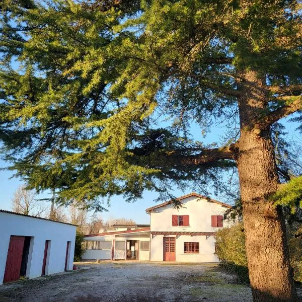 Auberge du Trinquet, hotel in Corbarieu