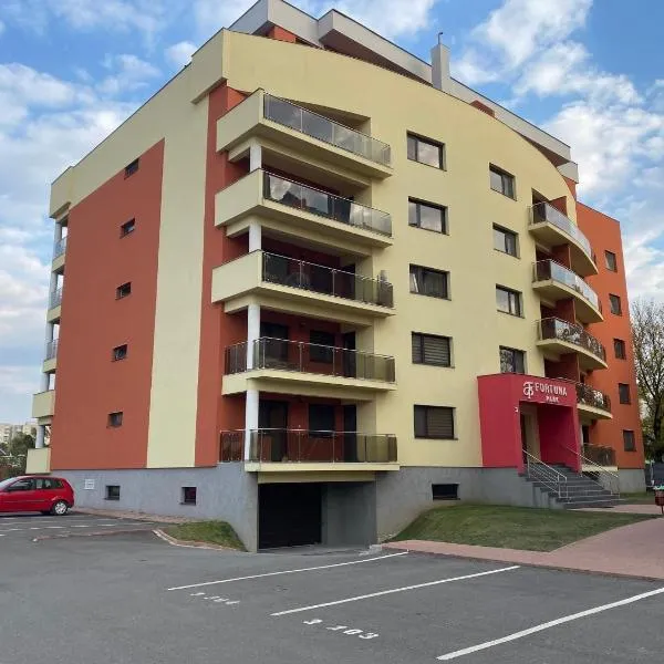 Yvett Studio-Fortuna Park: Sfântu Gheorghe şehrinde bir otel