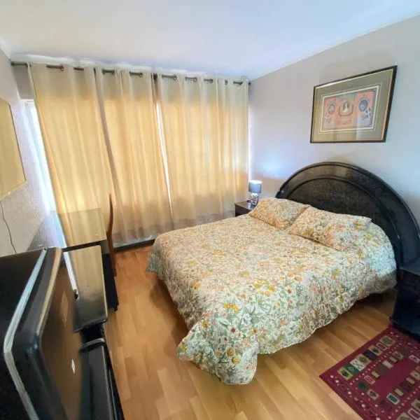 NEW HOTEL CRUZ DEL SUR, hotel v destinaci Concepción