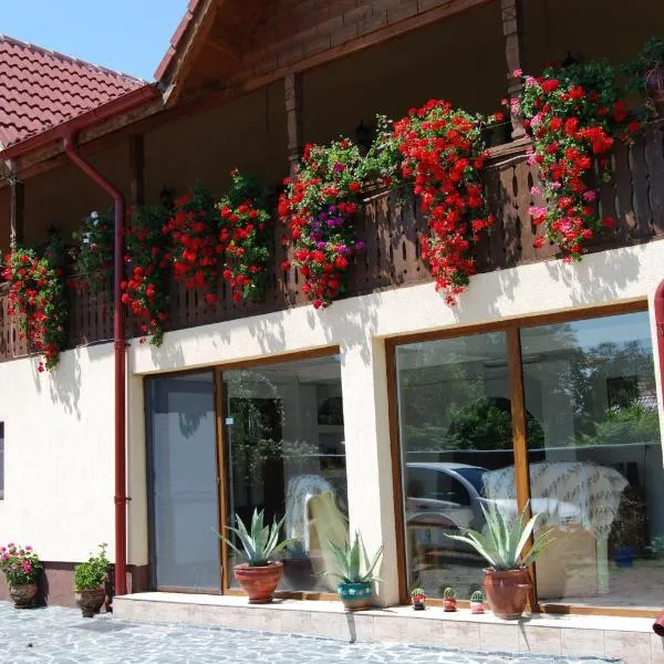 Pensiunea Casa Filoxenia, Hotel in Horezu