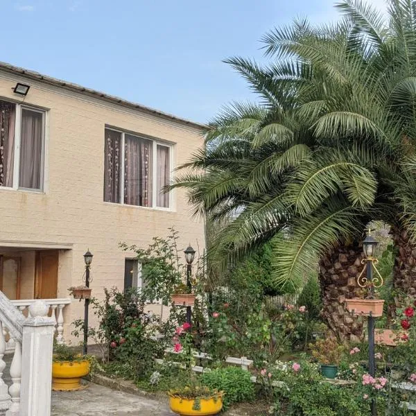 House - Kutaisi International Airport 15 Minutes, Samtredia Kulashi 15Tamar Mepe Street, ξενοδοχείο σε Samtredia