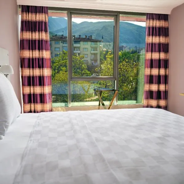 TOK EPİK HOTEL, hotel in Bursa