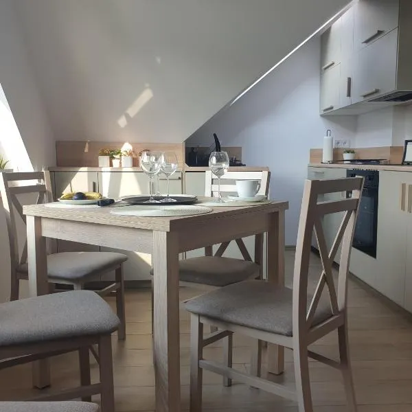 Near the airport- Apartments, hotel v Krakově