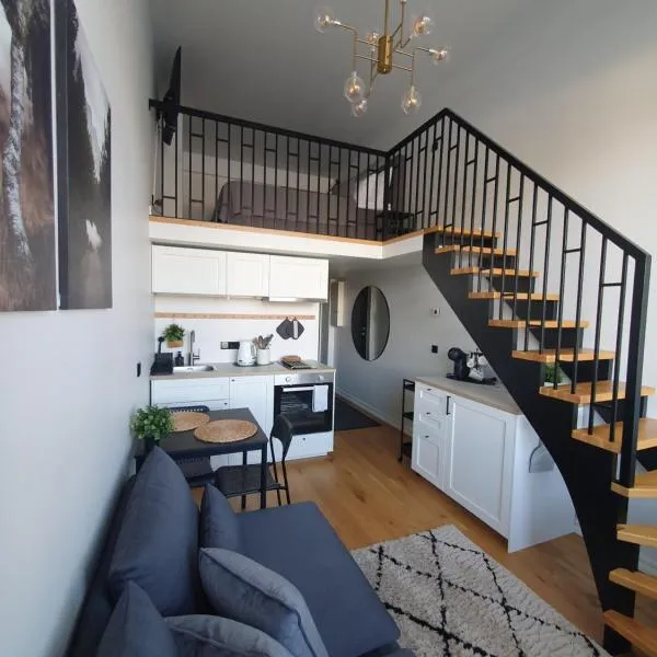 Loft Style Studio Apartment- Free Parking- Free Gym- Keyless Access, hotel in Tartu
