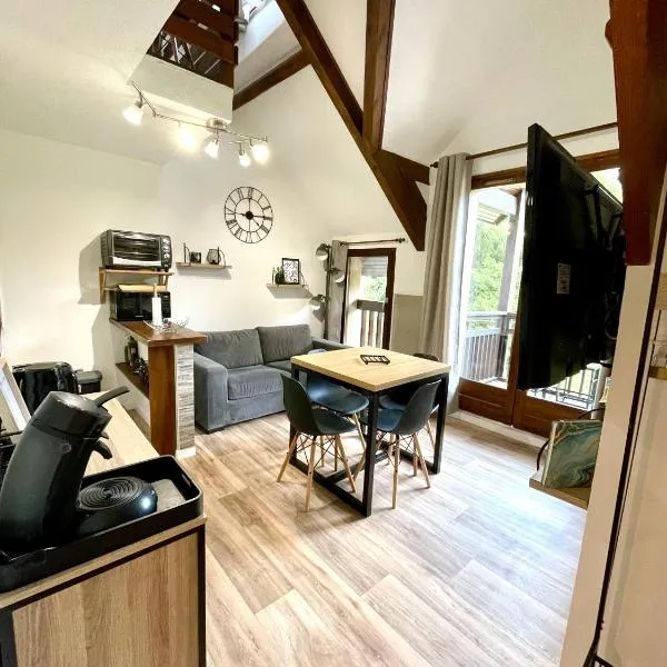 Duplex du Pailhet, T3 neuf, vue montagne, parking, navette et 2 vélos à disposition gratuitement, hotel em Luchon