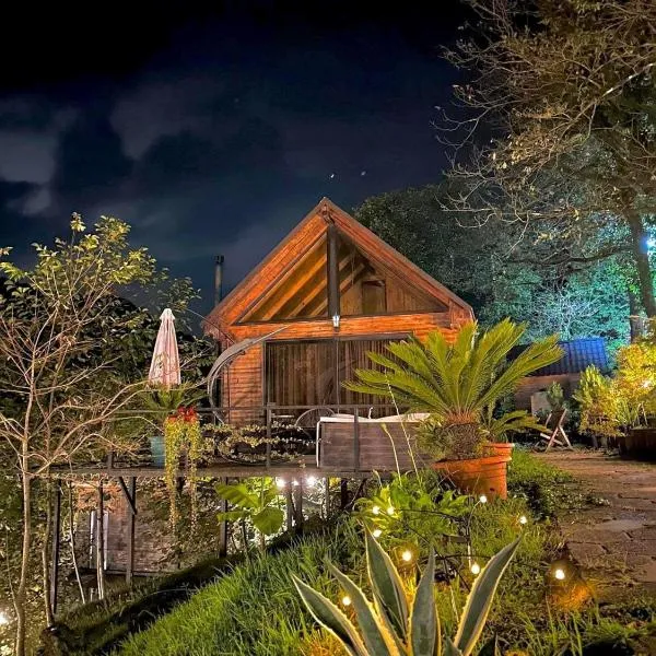 Woodpecker Georgia, hotel v destinaci Batumi