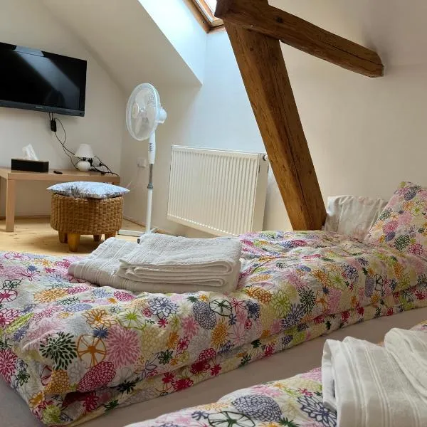 Mezonet Svítkov 21, ξενοδοχείο στο Παρντούμπιτσε