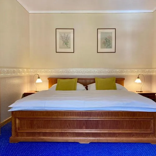 Penzion Vila Julie, hotel in Jilemnice