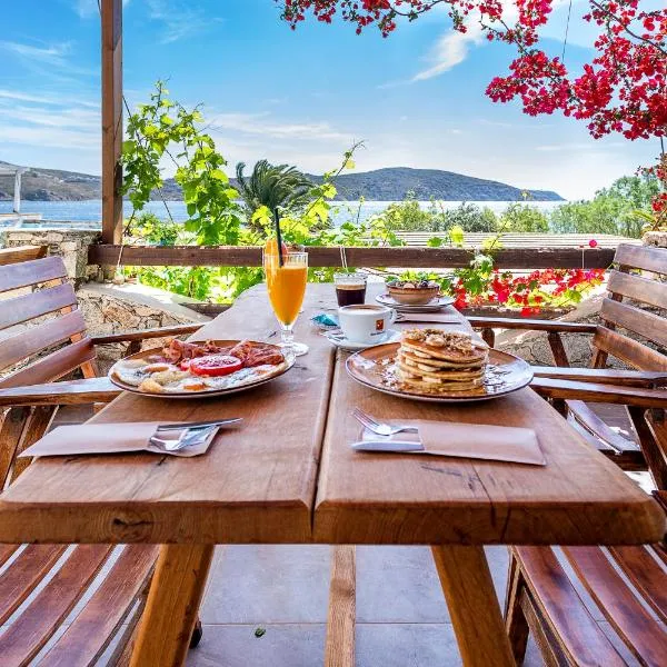 Vassilia on the beach Serifos、Livadakiaのホテル
