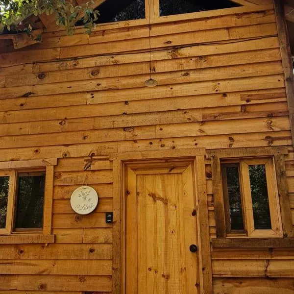 Colibri - Cabañas Puerto del Zopilote, ξενοδοχείο σε Pinal de Amoles