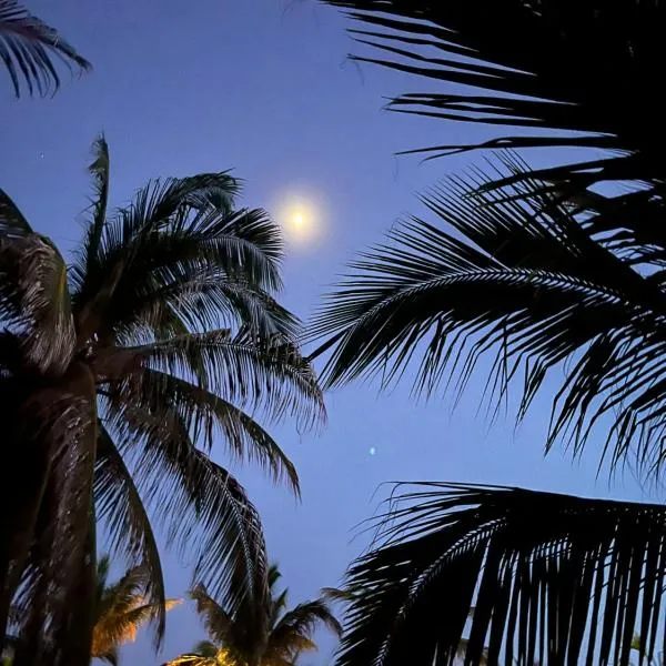 Blue House, hotel v destinaci Puerto Escondido