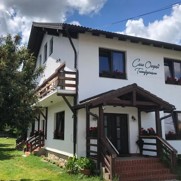 Casa Oaspeti Transfagarasan, hotel in Cîrţişoara