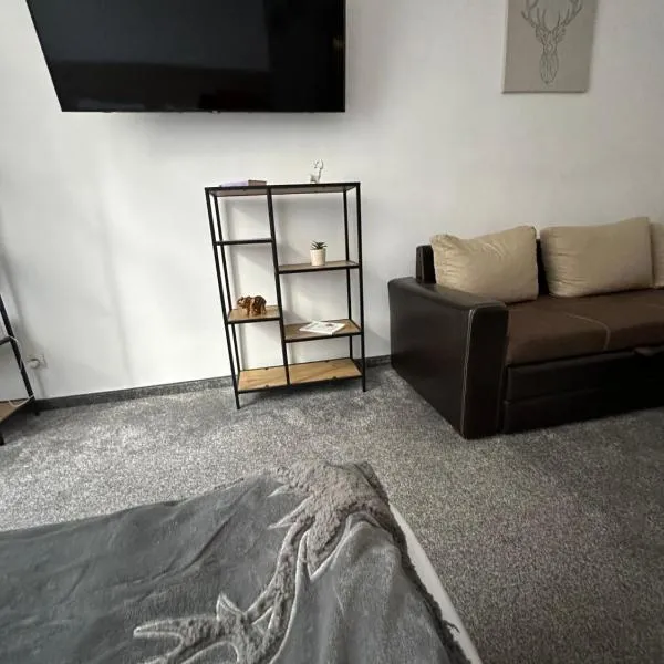 Апартхотел Флора 213Б, Hotel in Borowez