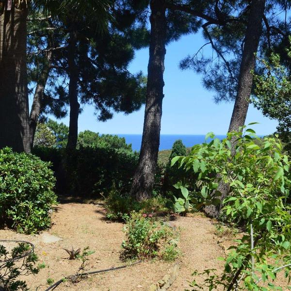 Appartement Banyuls-sur-Mer, 3 pièces, 5 personnes - FR-1-225C-77