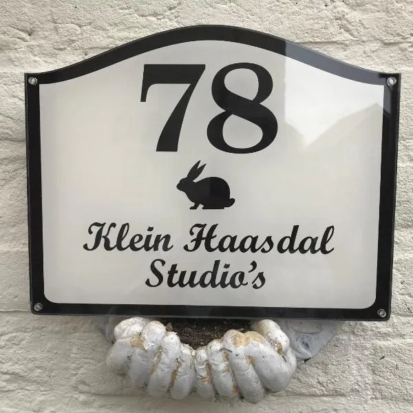 Klein Haasdal Studio's, hótel í Schimmert