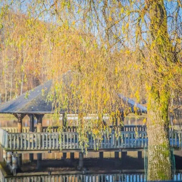Les Terrasses Du Lac, hotel in Vielsalm
