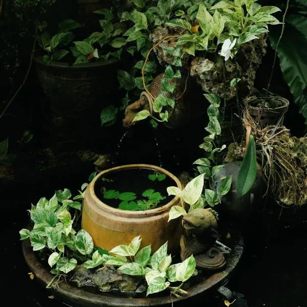 Homestay in Tay Ninh、Tây Ninhのホテル