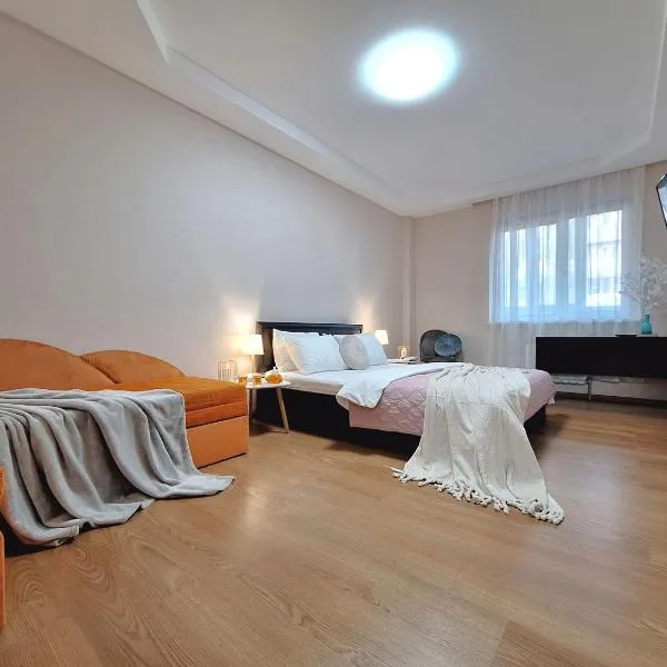 Велике ліжечко на Садовому. Мережа Alex Apartments. Цілодобове безконтактне заселення, hotel in Poltava