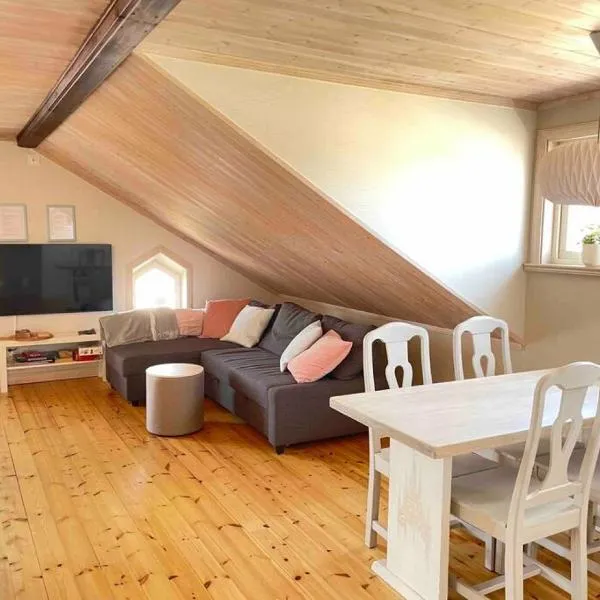 Penthouse close to Vasaloppet finish line portal, hotel in Mora