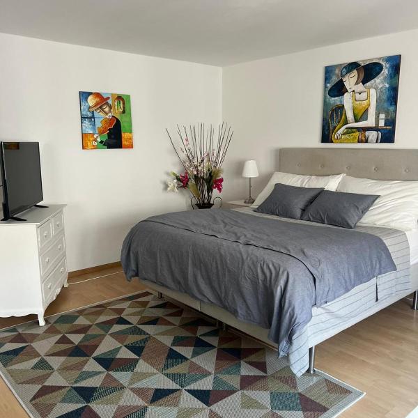 Schweiz (303), Basel