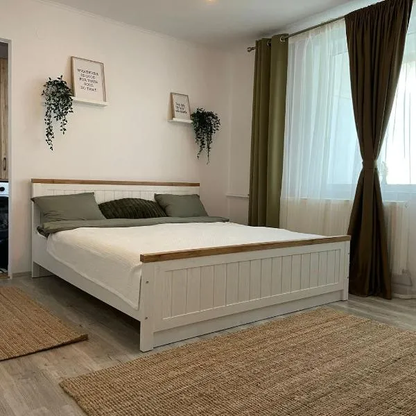 Carol Apartament's, Hotel in Timişoara