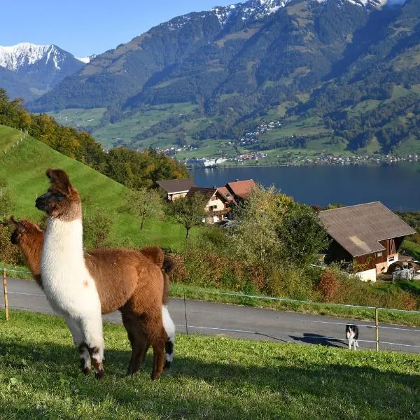 Ferienhaus auf dem Lamahof, hotel u gradu Stalden