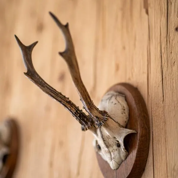bergfried - Designwohnung mit Weitblick, hotel v destinaci Fulpmes