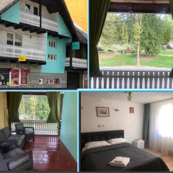 Bradul: Sîngeorz-Băi şehrinde bir otel
