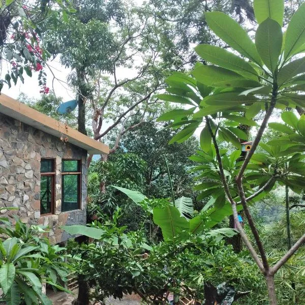 Casa Musgo，希利特拉的飯店