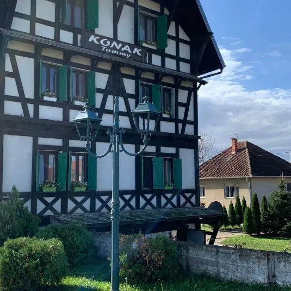 Hotel Konak Tammy Platičevo - Šabac, hotel v destinaci Šabac