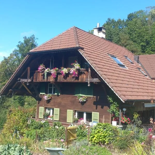 Bright, sunny holiday apartment on the farm, hotel v destinaci Oberdiessbach