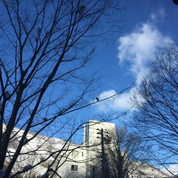 the Kinta Naeba、湯沢町のホテル