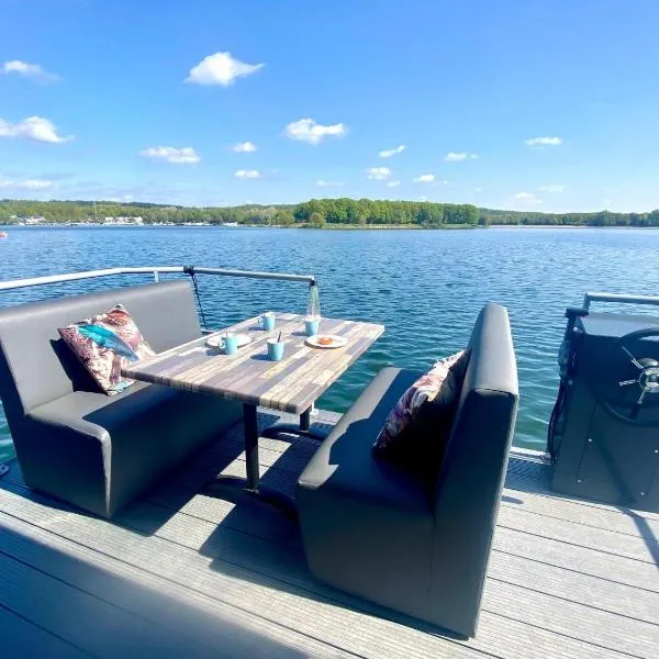 Houseboat Mookerplas with a view, hotel di Middelaar