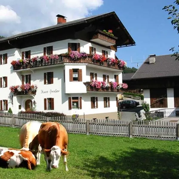 Erlebenswert Bauernhof Gruber, Hotel in Sankt Lorenzen im Lesachtal