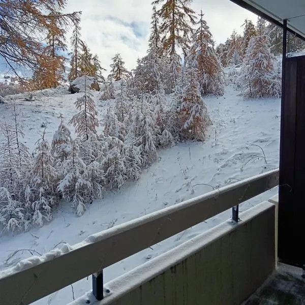 STUDIO le FOREST SKIS AUX PIEDS, hotel em Vars