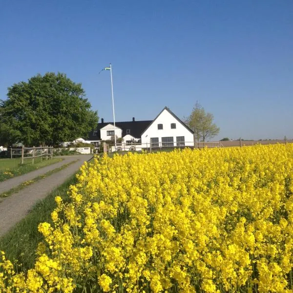 Arnhög Farm, hotel in Borrby