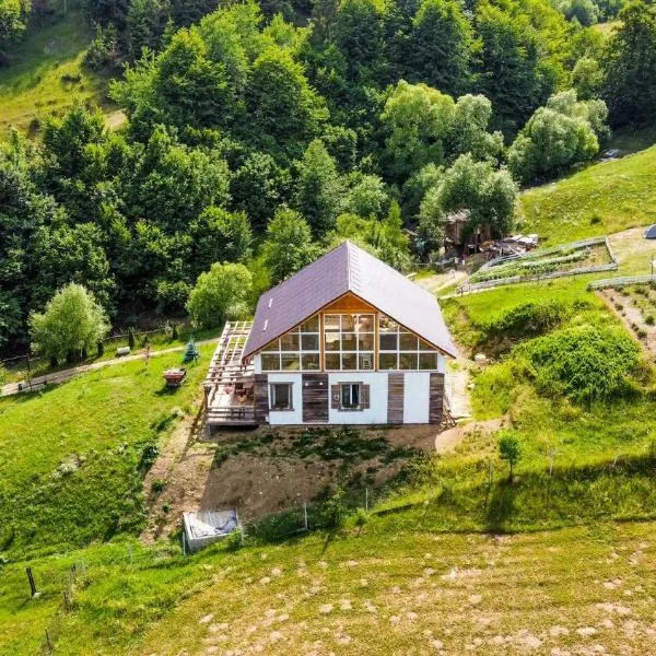 Agroturism Bori Punct Gastronomic Local、グラ・フモルルイのホテル