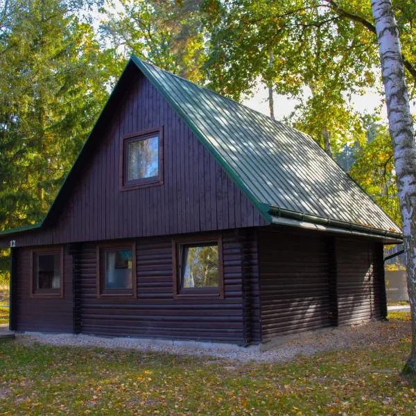 Holiday Home Kemp Stříbrný rybník-12 by Interhome, Hotel in Hradec Králové
