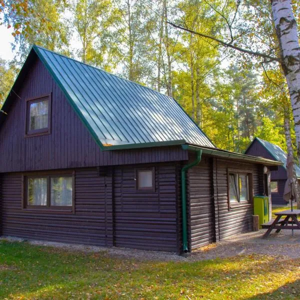 Holiday Home Kemp Stříbrný rybník-5 by Interhome, Hotel in Hradec Králové